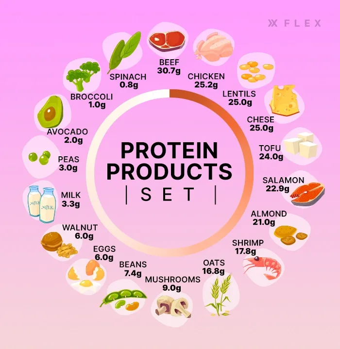 The amount of protein in different foods