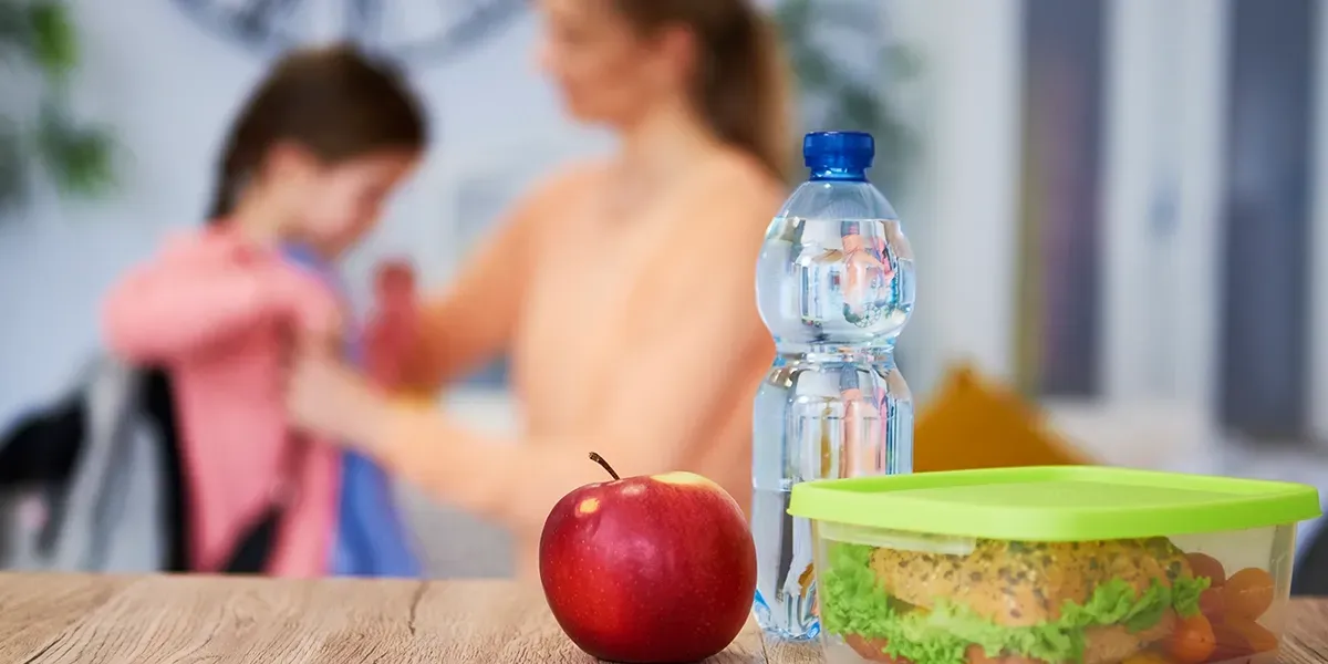 healthy lunch of student getting ready for school